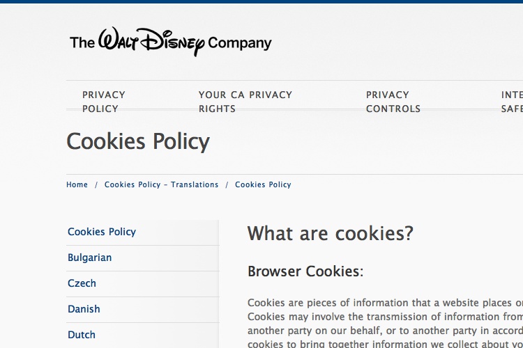 Screenshot of Disney Cookies Policy Privacy